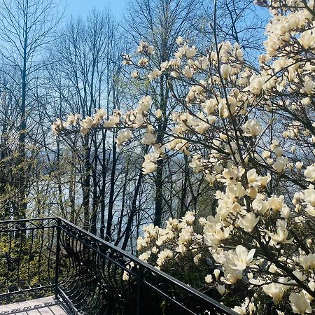 Willa Z Sauna Nad Jeziorem 61 Żywiec Exterior foto