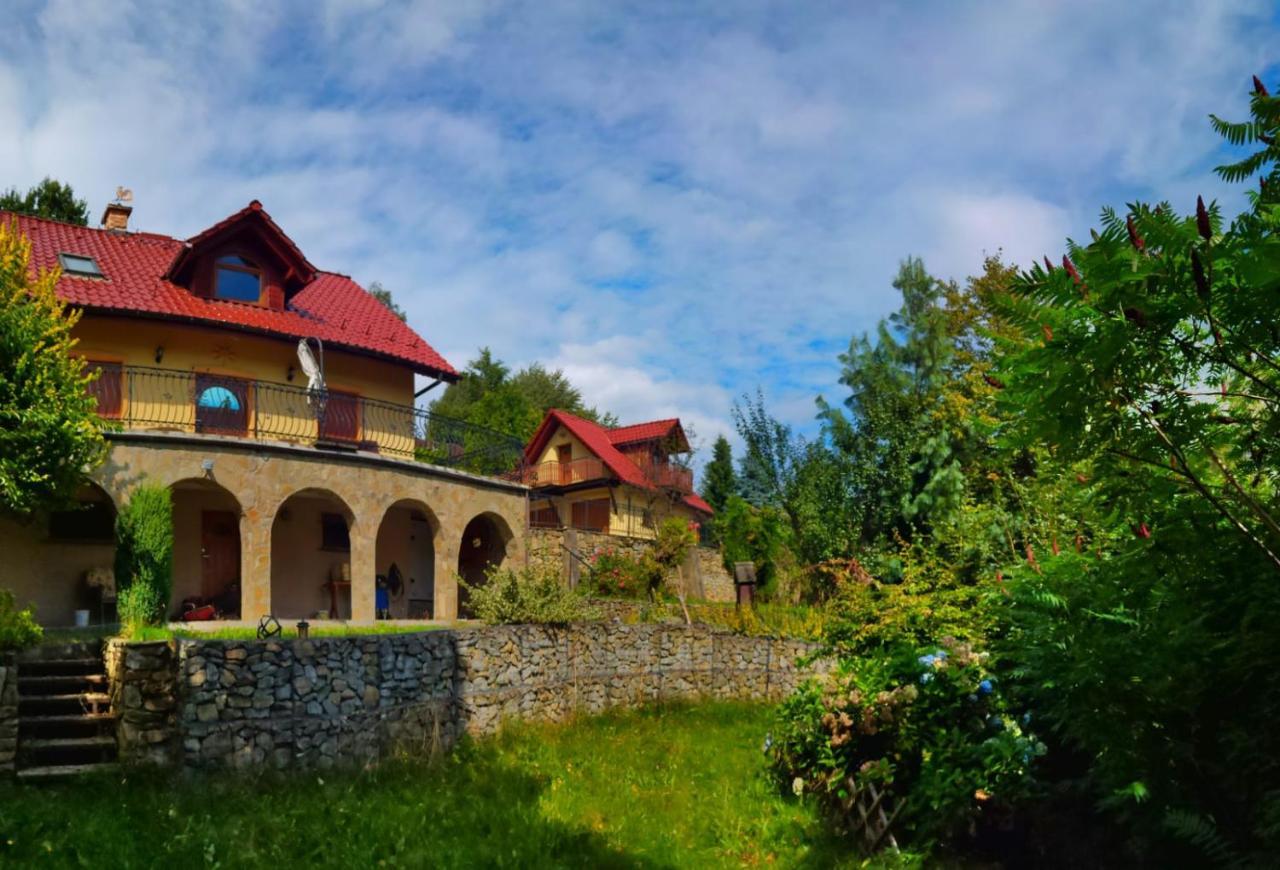 Willa Z Sauna Nad Jeziorem 61 Żywiec Exterior foto